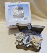 Unison gifts kittens for sale  Mankato