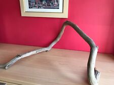 Lovely weathered contorted for sale  READING