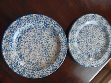 Blue spongeware pottery for sale  Salisbury