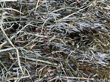 Lbs. orchard grass for sale  Spring Grove