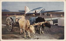 Mexico oxen pulling for sale  Harvard