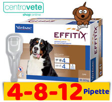 Effitix cane 12 usato  Arborea