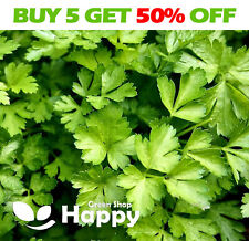 Herb seeds parsley for sale  DONCASTER