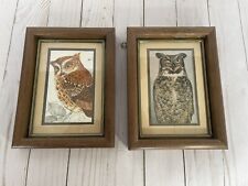 Vintage owl prints for sale  Jacksonville