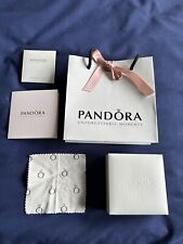 Pandora polishing cloth for sale  CHESTER
