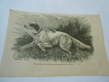 Gravure 1879 chien d'occasion  La Verpillière