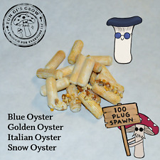 oyster mushrooms for sale  Arlington Heights