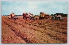 Peanut harvesting south for sale  Columbia