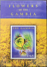 Gambia 2008 piante usato  Italia