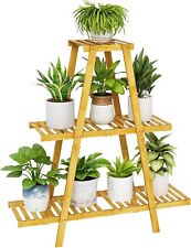 Ladder tier plant for sale  WIRRAL