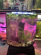 Corner fish tank for sale  Lorain