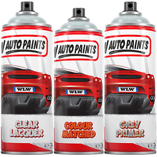 Ford spray paint for sale  Shipping to Ireland