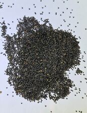 Used, Garlic forest garlic seeds - allium ursinum - garlic seeds - herbal seeds for sale  Shipping to South Africa