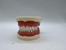 Dental typodont type for sale  Fort Smith