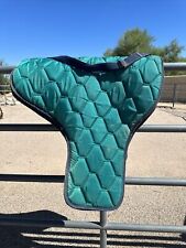 big padded carrying case for sale  Scottsdale