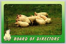 Pig humor board for sale  Marilla