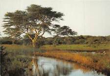 Lot 2 south africa zululand northern natal mkuzi region, used for sale  Shipping to South Africa