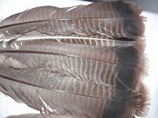 Feathers for sale  Reynoldsburg