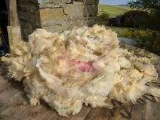 Organic sheep fleece for sale  UK