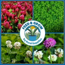 Clover seeds red for sale  GOOLE