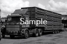 TRUCK PHOTOS  Scania 143 Livestock for sale  Shipping to Ireland