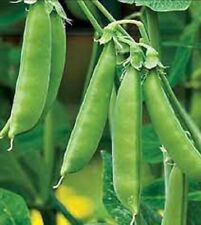 certified organic peas dry for sale  Otto
