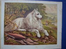 Chien couche chromolithographi d'occasion  Le Mayet-de-Montagne