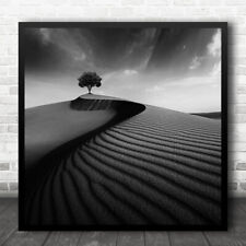 Tree lonely alone for sale  UK