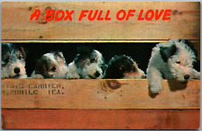 Vintage postcard box for sale  Canton