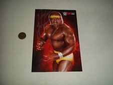 WWF WWE WRESTLING PROMO HULK HOGAN 2K 15 AUTOGRAPH SIGNED, used for sale  Shipping to South Africa