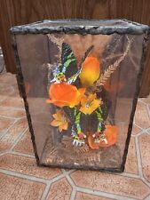 Butterfly box for sale  Waynesville