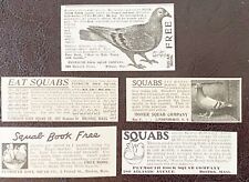 C1900s eat squabs for sale  Dulac