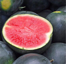 Black diamond watermelon for sale  El Monte