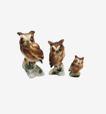 Miniature owls bone for sale  Blanch