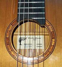 Chitarra classica giussani usato  Napoli