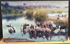 1909 vintage postcard for sale  NEWTON ABBOT