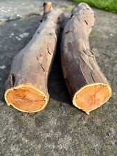yew logs for sale  Shipping to Ireland