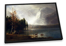 Bierstadt estes park for sale  UK