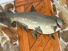 Large chinook king for sale  Jersey City