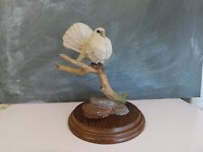 Country artists fantail for sale  CHEADLE
