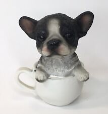 Small teacup frenchie for sale  Dayton