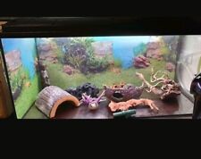 Aquarium180l gebraucht kaufen  Greven