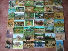 Postcards animals wildlife. for sale  SPALDING