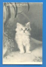 Landor cat studies. for sale  UK