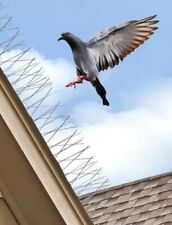 Bird spikes pro for sale  WESTCLIFF-ON-SEA