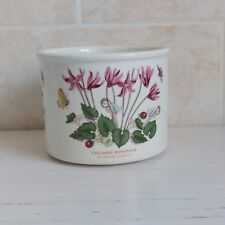 Portmeirion pottery small for sale  KETTERING