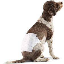 Disposable dog nappies for sale  ENNISKILLEN