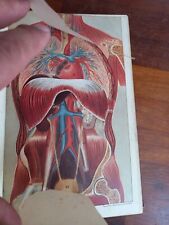 Antique books The Family Physician Domestic Medicine in 4 volumes Anatomy decor  for sale  BEDFORD