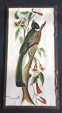 Oiseau reproduction lithograph d'occasion  Véron