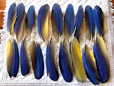 17 feathers true color 17/24cm fashion creation, scrapbooking, jewelry, fish, create for sale  Shipping to South Africa